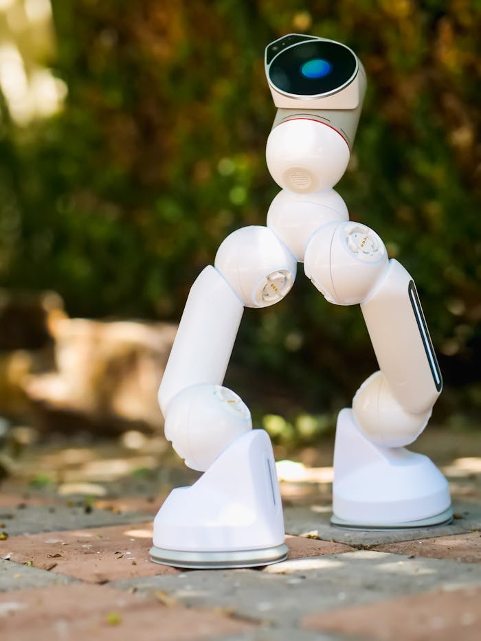 White robot on pavement, showcasing innovation and modern robotics technology.